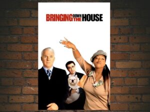 -Bringing Down the House (2003)-<br>The Original Movie