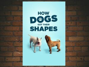 -How Dogs Got Their Shapes (2016)-<br>The Original Movie