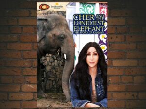 -Cher & the Loneliest Elephant (2021)-<br>The Original Movie