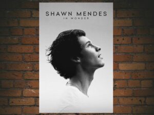 -Shawn Mendes: In Wonder (2020)-<br>The Original Movie