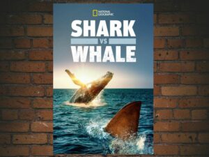 -Shark vs. Whale (2020)-<br>The Original Movie