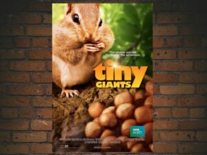 -Tiny Giants (2014)-<br>The Original Movie