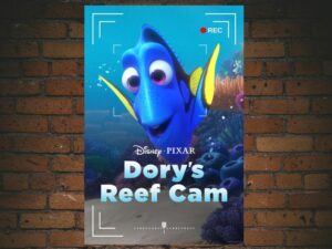 -Dory's Reef Cam (2020)-<br>The Original Movie