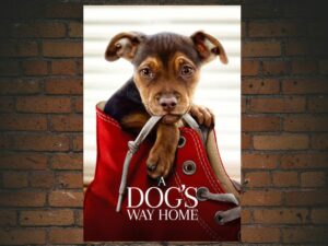 -A Dog's Way Home (2019)-<br>The Original Movie