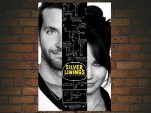 -Silver Linings Playbook (2012)-<br>The Original Movie