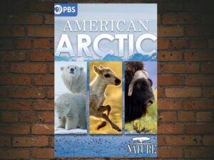 -Nature: American Arctic (2022)-<br>The Original Movie