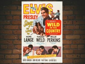 -Wild in the Country (1961)-<br>The Original Movie