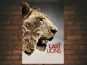 -The Last Lions (2011)-<br>The Original Movie