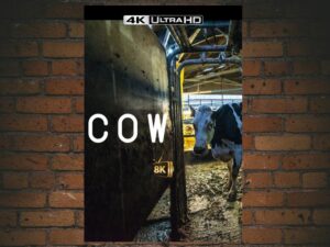 -Cow (2022)-<br>The Original Movie
