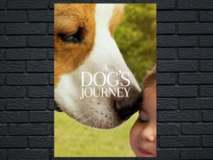 -A Dog's Journey (2019)-<br>The Original Movie