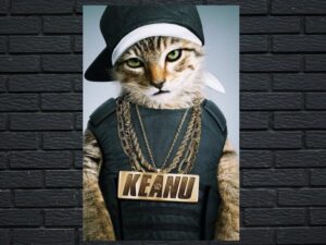 -Keanu (2016)-<br>The Original Movie