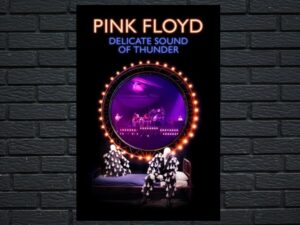 -Pink Floyd: Delicate Sound Of Thunder (2019)-<br>The Original Movie