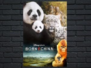 -Born in China (2016)-<br>The Original Movie