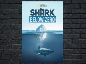 -Shark Below Zero (2023)-<br>The Original Movie