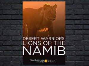 -Desert Warriors: Lions Of The Namib (2016)-<br>The Original Movie