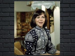 -The Girl with Something Extra (1973)-<br>The Complete Series