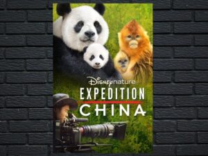 -Expedition China (2017)-<br>The Original Movie