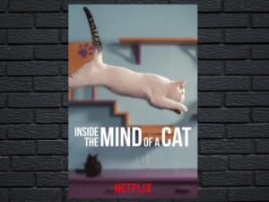 -Inside The Mind Of A Cat (2022)-<br>The Original Movie