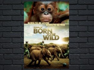 -Born to Be Wild (2011)-<br>The Original Movie