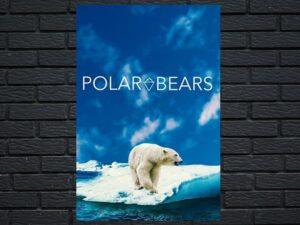 -Polar Bears (2020)-<br>The Original Movie
