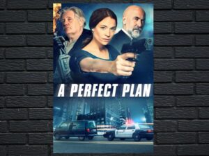 -A Perfect Plan (2020)-<br>The Original Movie
