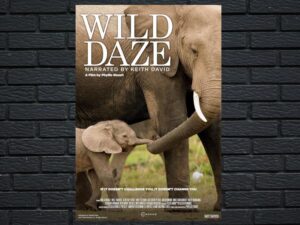 -Wild Daze (2020)-<br>The Original Movie
