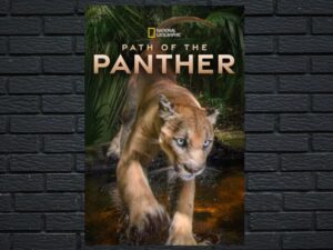 -Path Of The Panther (2022)-<br>The Original Movie