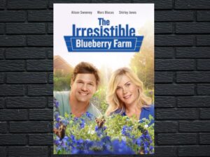 -The Irresistible Blueberry Farm (2016)-<br>The Original Movie