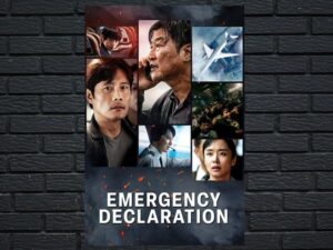 -Emergency Declaration (2022)-<br>The Original Movie