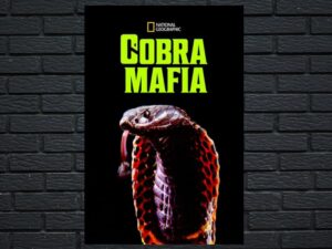 -Cobra Mafia (2015)-<br>The Original Movie