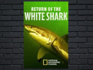 -Return Of The White Shark (2023)-<br>The Original Movie
