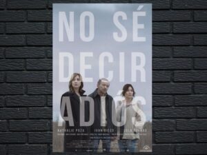 -Can't Say Goodbye (2017)-<br>The Original Movie