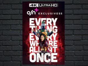 -Everything Everywhere All at Once (2022)-<br>The Original Movie
