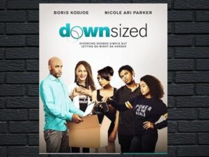 -Downsized (2017)-<br>The Original Movie
