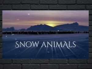 -Snow Animals (2019)-<br>The Original Movie
