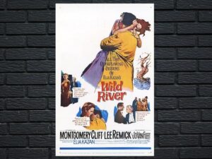 -Wild River (1960)-<br>The Original Movie