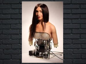 -How to Build a Human (2016)-<br>The Original Movie