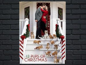-12 Pups Of Christmas (2019)-<br>The Original Movie