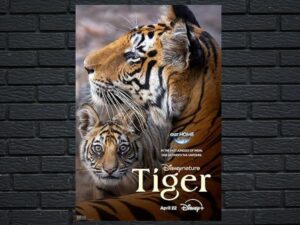 -Tiger (2024)-<br>The Original Movie