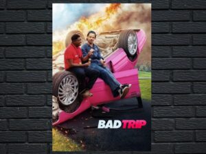 -Bad Trip (SUB) (2020)-<br>The Original Movie