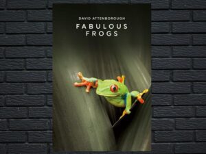 -Fabulous Frogs (1974)-<br>The Original Movie