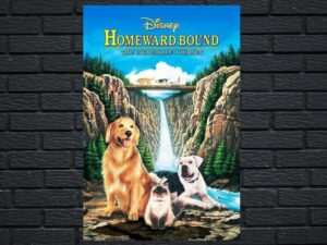 -Homeward Bound: The Incredible Journey (1993)-<br>The Original Movie