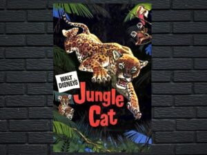 -Jungle Cat (1960)-<br>The Original Movie