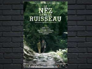 -Le nez dans le ruisseau (2012)-<br>The Original Movie