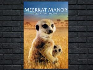 -Meerkat Manor: The Story Begins (2008)-<br>The Original Movie