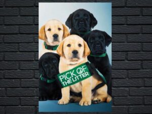 -Pick of the Litter (2018)-<br>The Original Movie