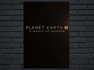 -Planet Earth II: A World of Wonder (2017)-<br>The Original Movie