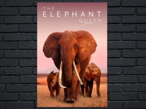-The Elephant Queen (2019)-<br>The Original Movie