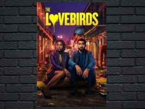 -The Lovebirds (SUB) (2020)-<br>The Original Movie