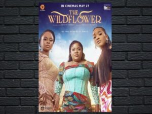 -The Wildflower (1991)-<br>The Original Movie